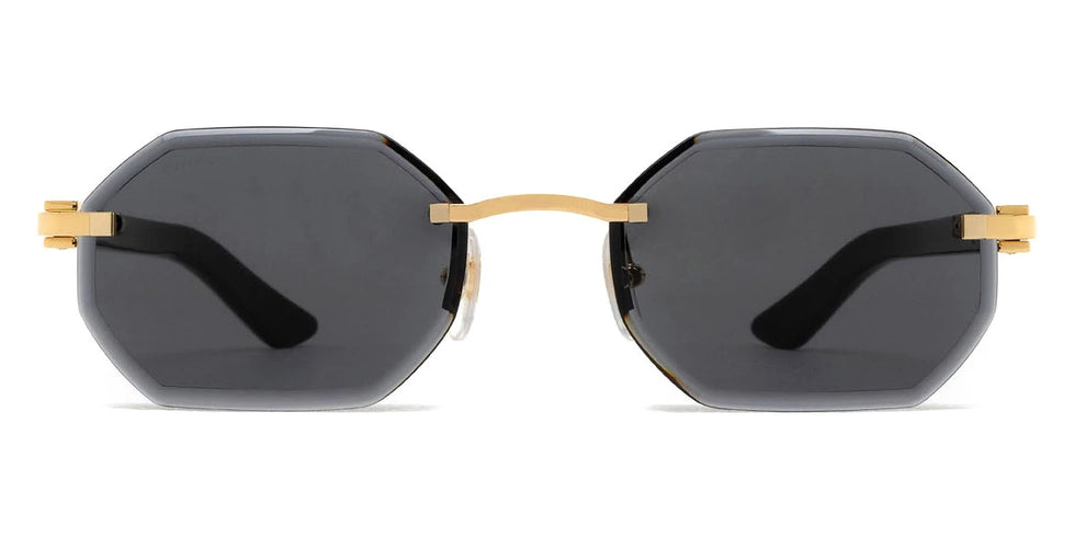 Cartier - CT0439S C Décor