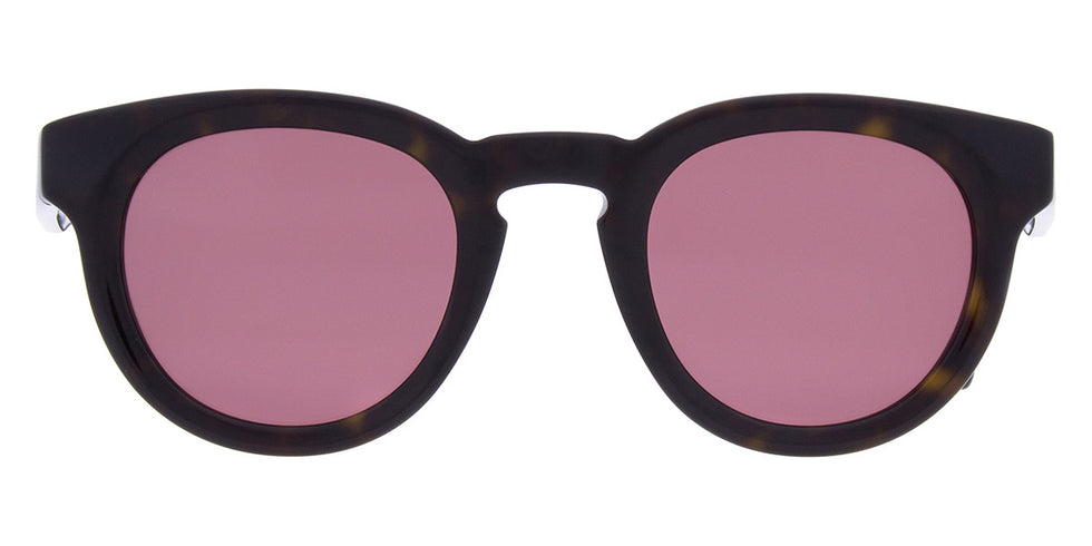 Andy Wolf - Chestnut Sun