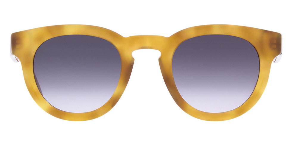 Andy Wolf - Chestnut Sun