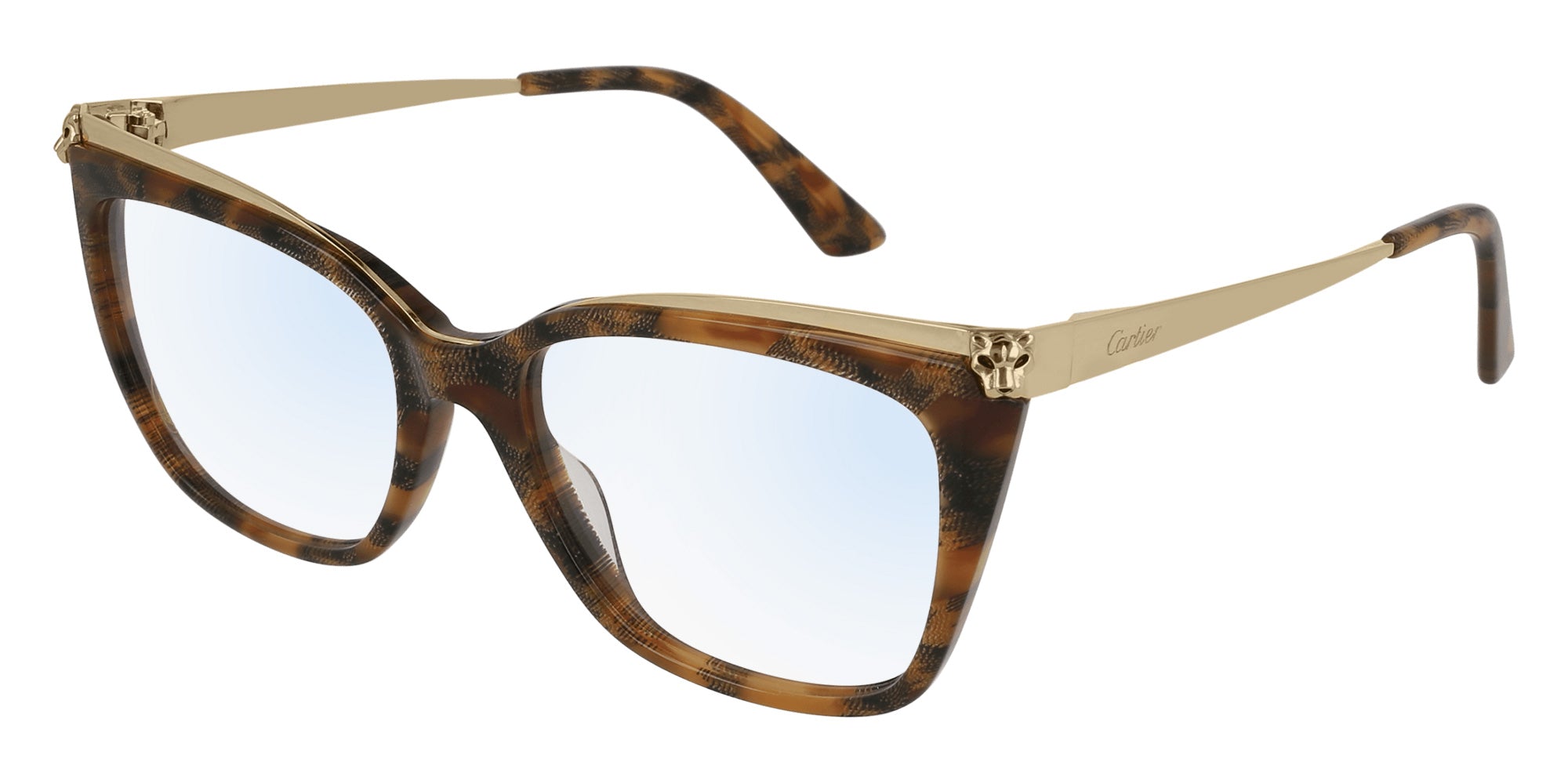 Cartier CT0033O 003 53 - Havana/Gold #id:ct0033o003_s:102100