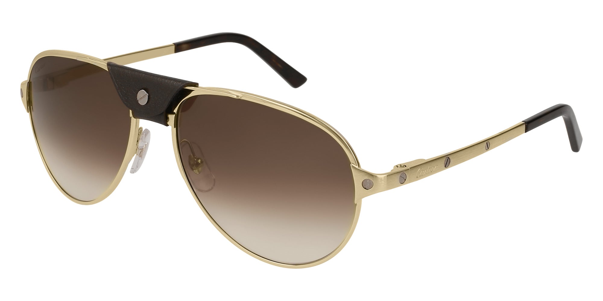 Cartier CT0034S 004 59 - Gold / Brown Multi Treatment #id:ct0034s004_s:106105