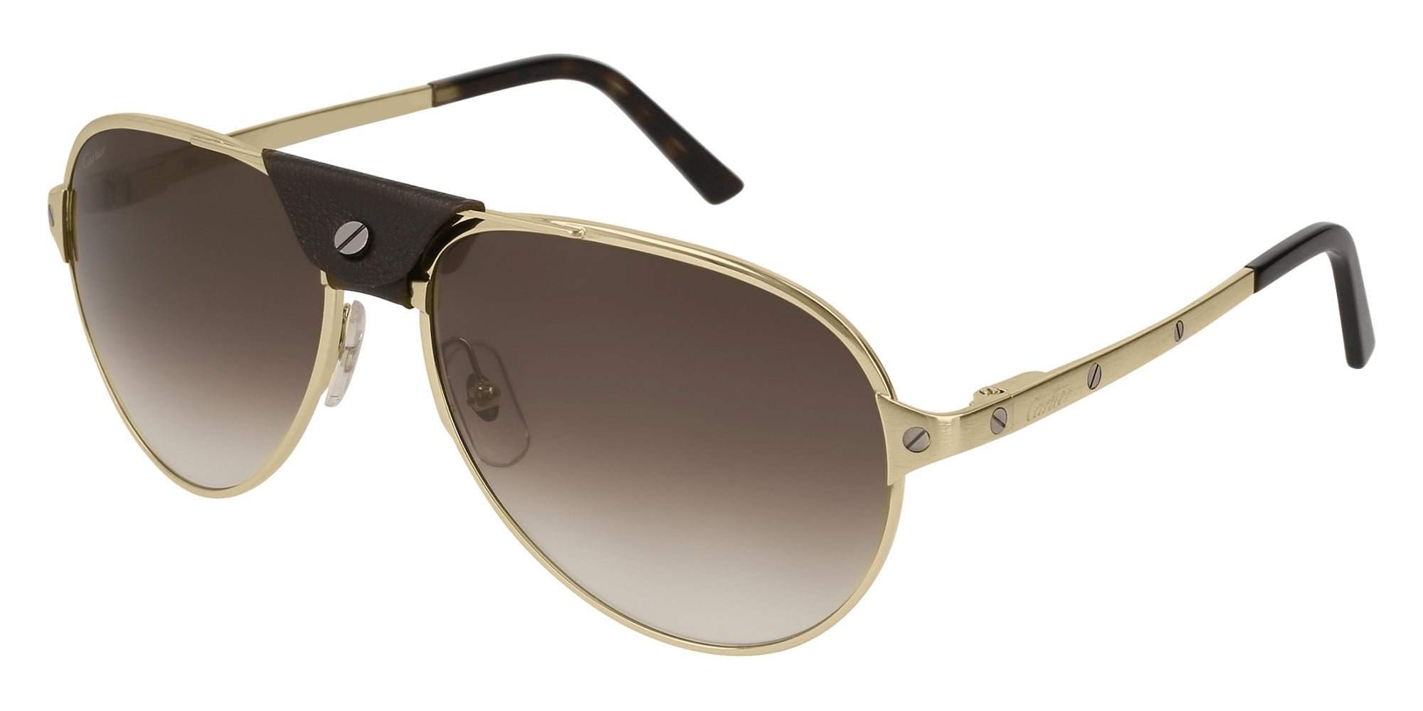 Cartier CT0034S 008 61 - Gold / Brown Multi Treatment #id:ct0034s008_s:112100