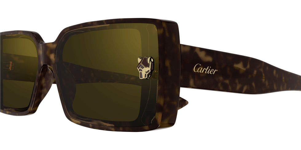 Cartier CT0358S 002 64 - Havana / Brown Multi Treatment #id:ct0358s002_s:102110