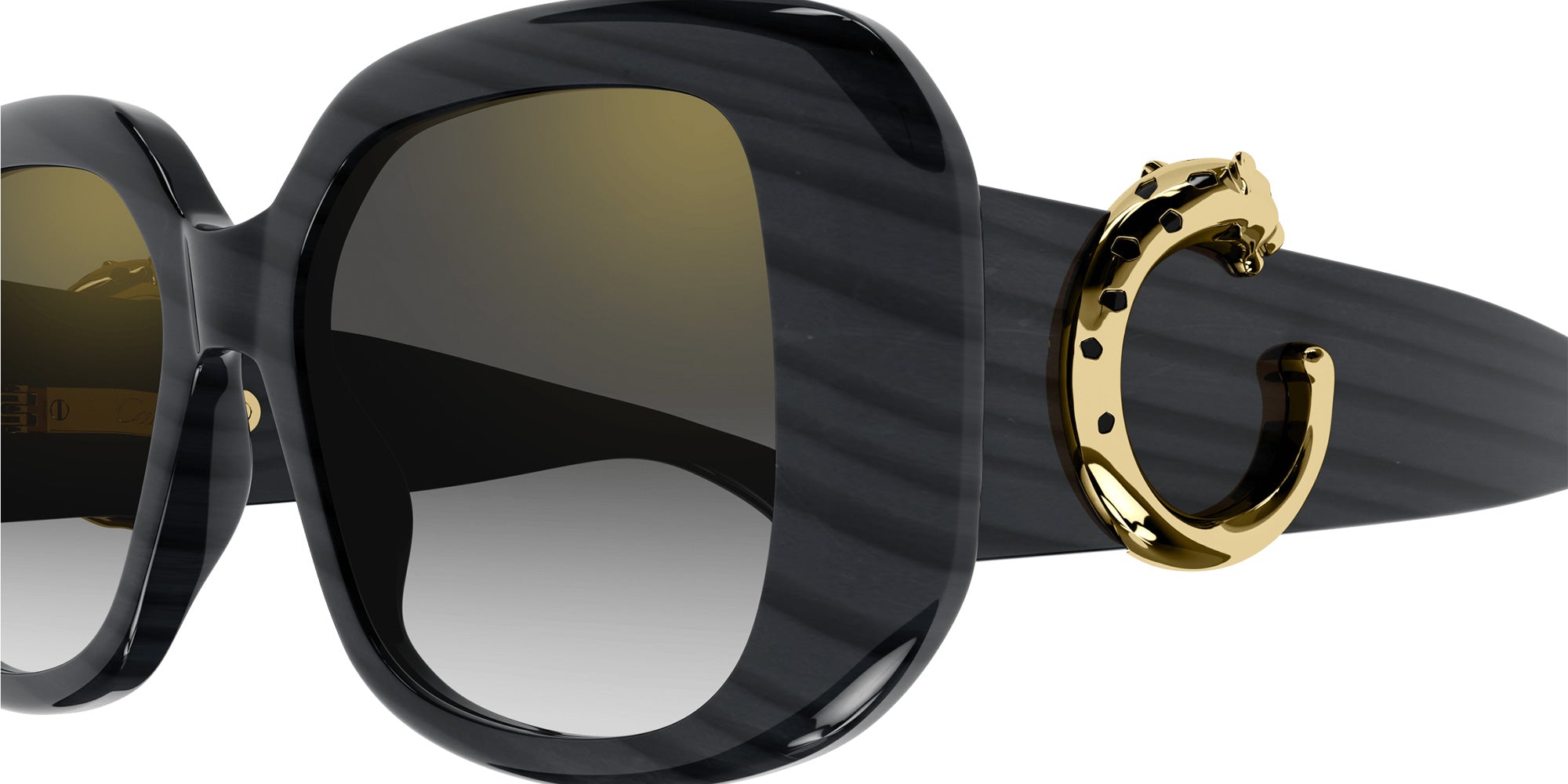 Cartier CT0471S 003 54 - Gray / Gray Multi Treatment #id:ct0471s003_s:100110