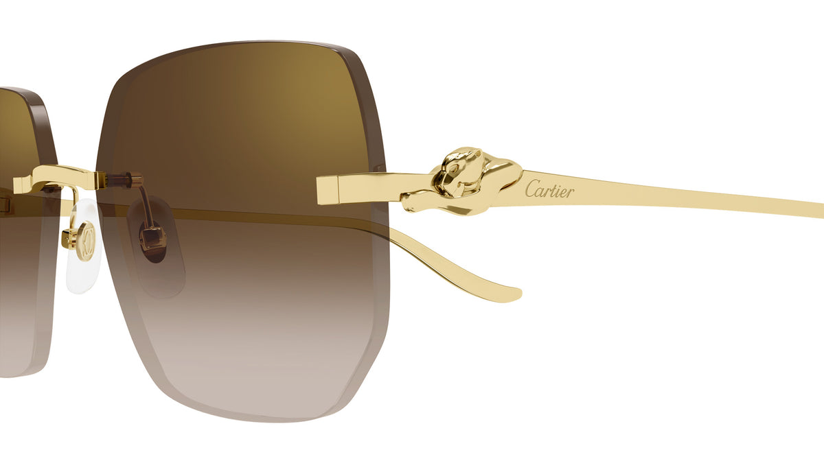 Cartier CT0549S 005 57 - Gold / Brown Multi Treatment #id:ct0549s005_s:100110