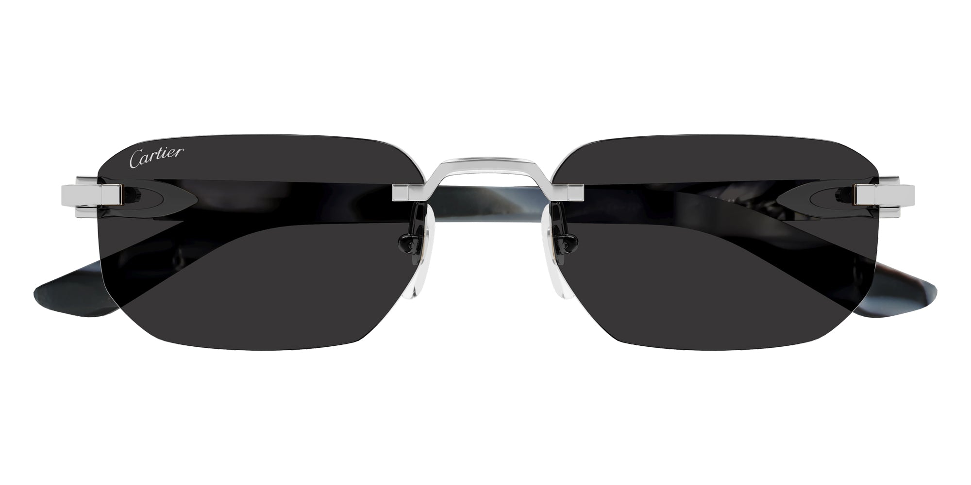 Cartier CT0622S 005 53 - Silver/Gray / Gray AR #id:ct0622s005_s:106100