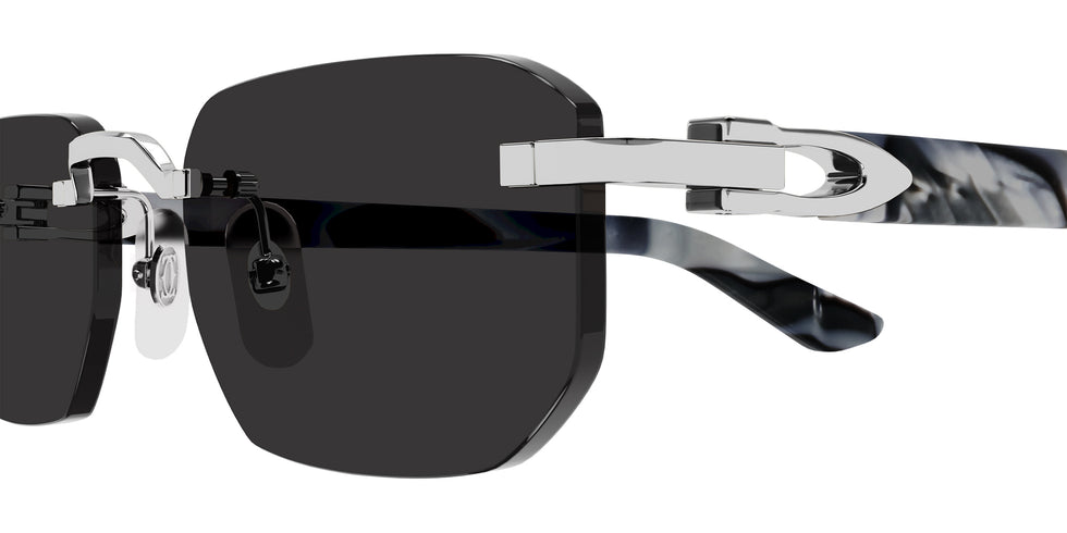 Cartier CT0622S 005 53 - Silver/Gray / Gray AR #id:ct0622s005_s:106110