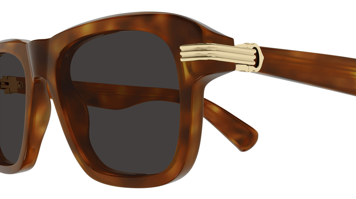 Cartier CT0657S 004 55 - Havana / Gray AR #id:ct0657s004_s:104110