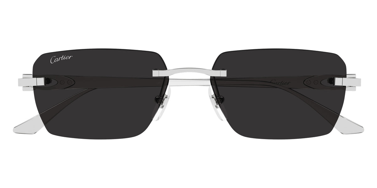 Cartier CT0660S 003 55 - Silver / Gray AR #id:ct0660s003_s:104100