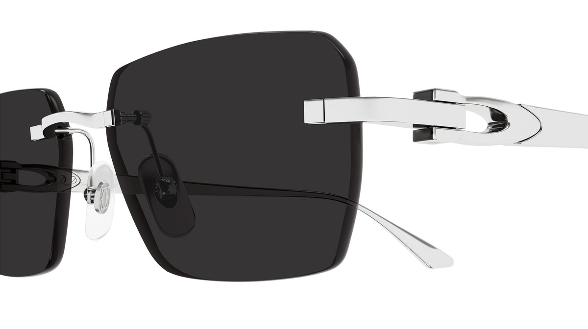 Cartier CT0660S 003 55 - Silver / Gray AR #id:ct0660s003_s:104110