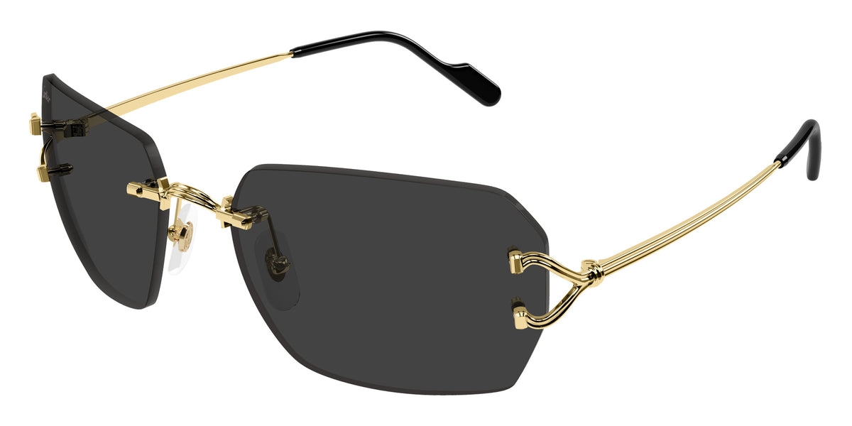 Cartier CT0664S 001 59 - Gold / Gray AR #id:ct0664s001_s:100105