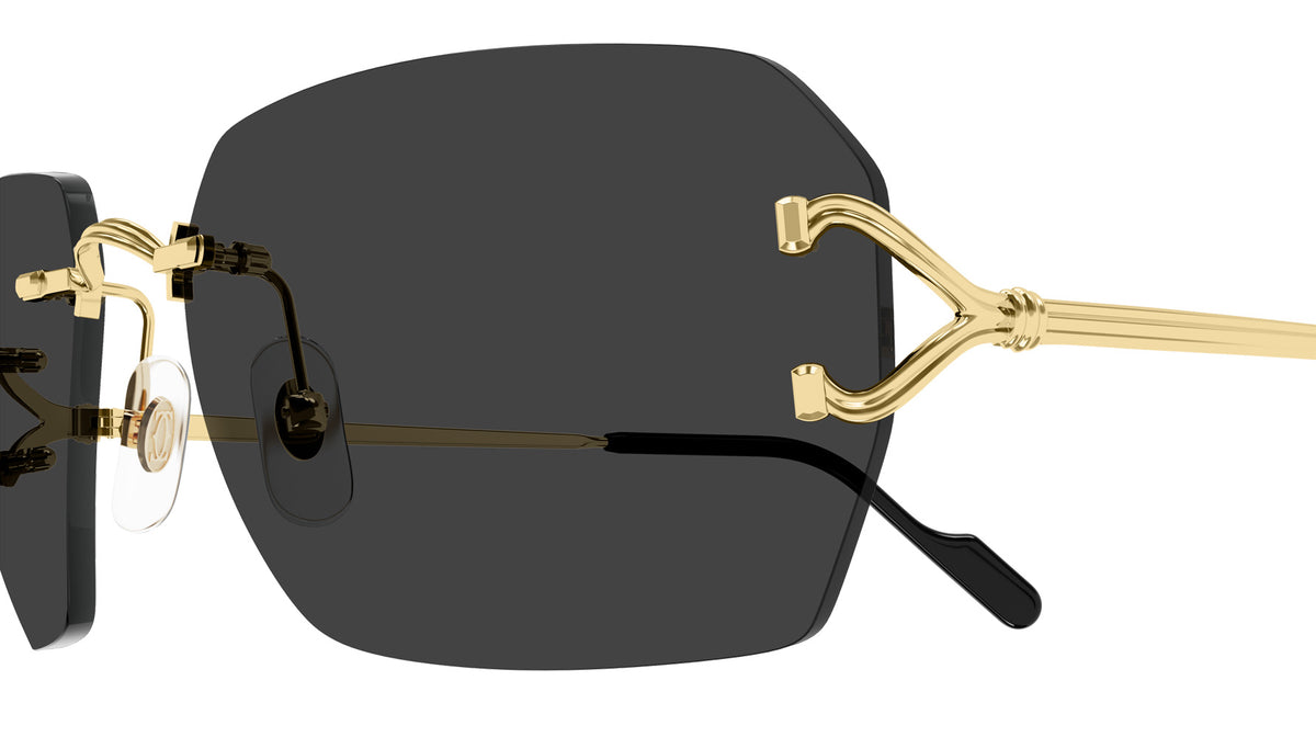 Cartier CT0664S 001 59 - Gold / Gray AR #id:ct0664s001_s:100110