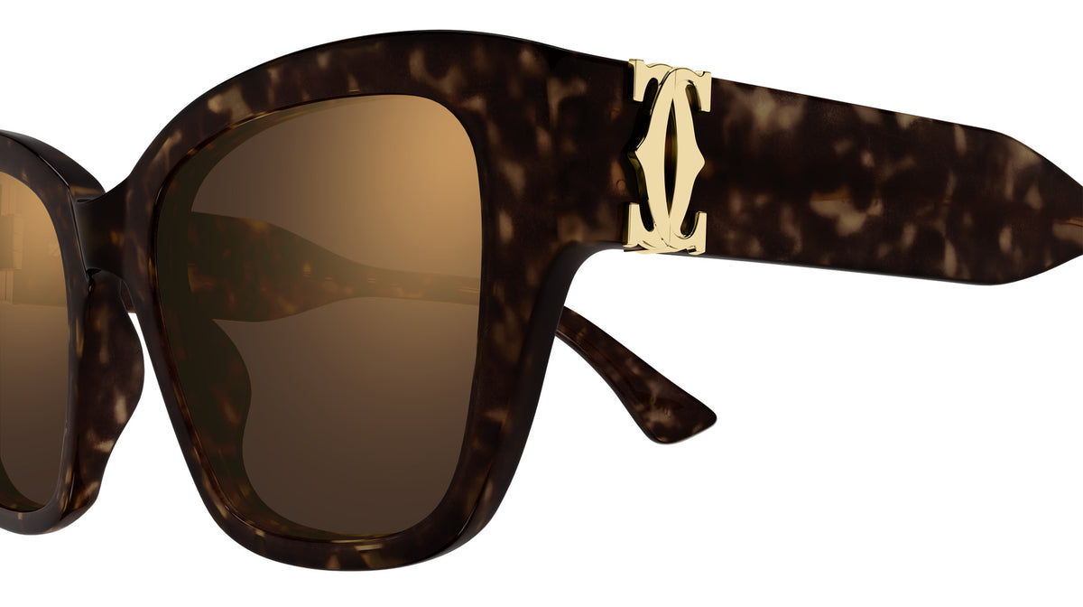 Cartier CT0666S 002 53 - Havana / Brown Multi Treatment #id:ct0666s002_s:102110