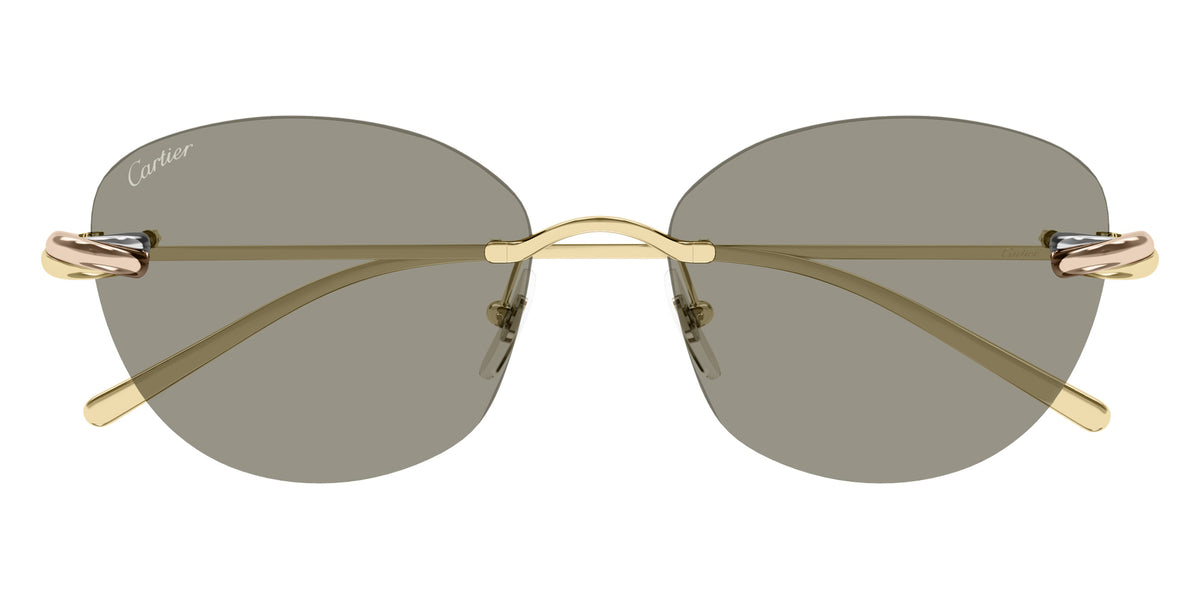 Cartier CT0685S 003 57 - Gold / Brown AR #id:ct0685s003_s:100100