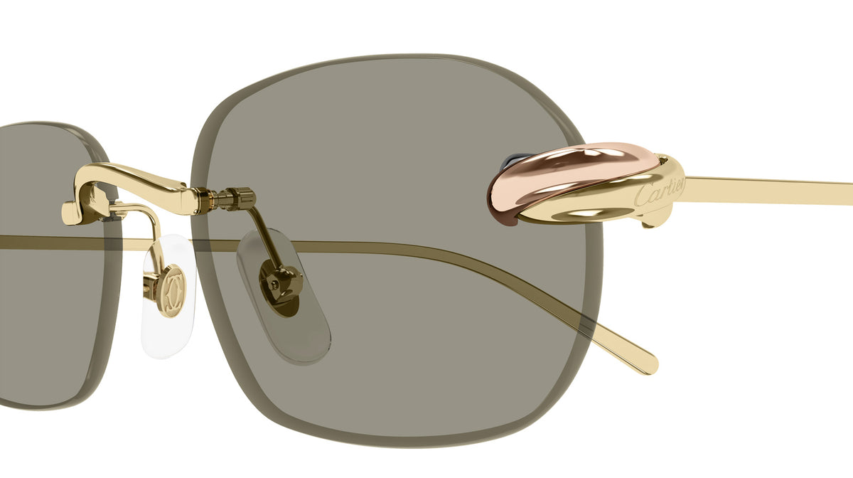 Cartier CT0686S 003 55 - Gold / Brown AR #id:ct0686s003_s:102110