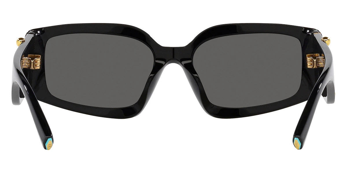 TIFFANY TF4208U 8001S4 54 - Black / Dark Gray