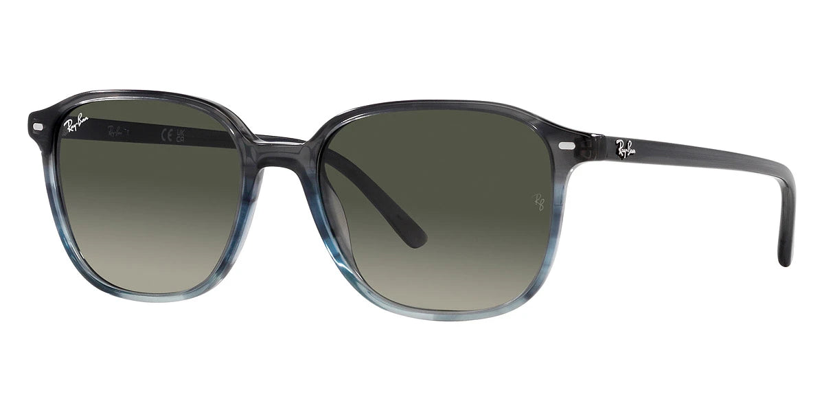 Ray-Ban - Leonard RB2193F