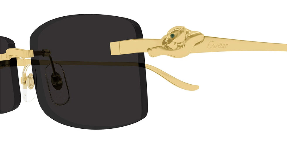 Cartier - CT0552S Precious