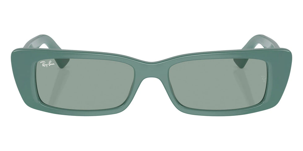 Ray-Ban - Teru RB4425F