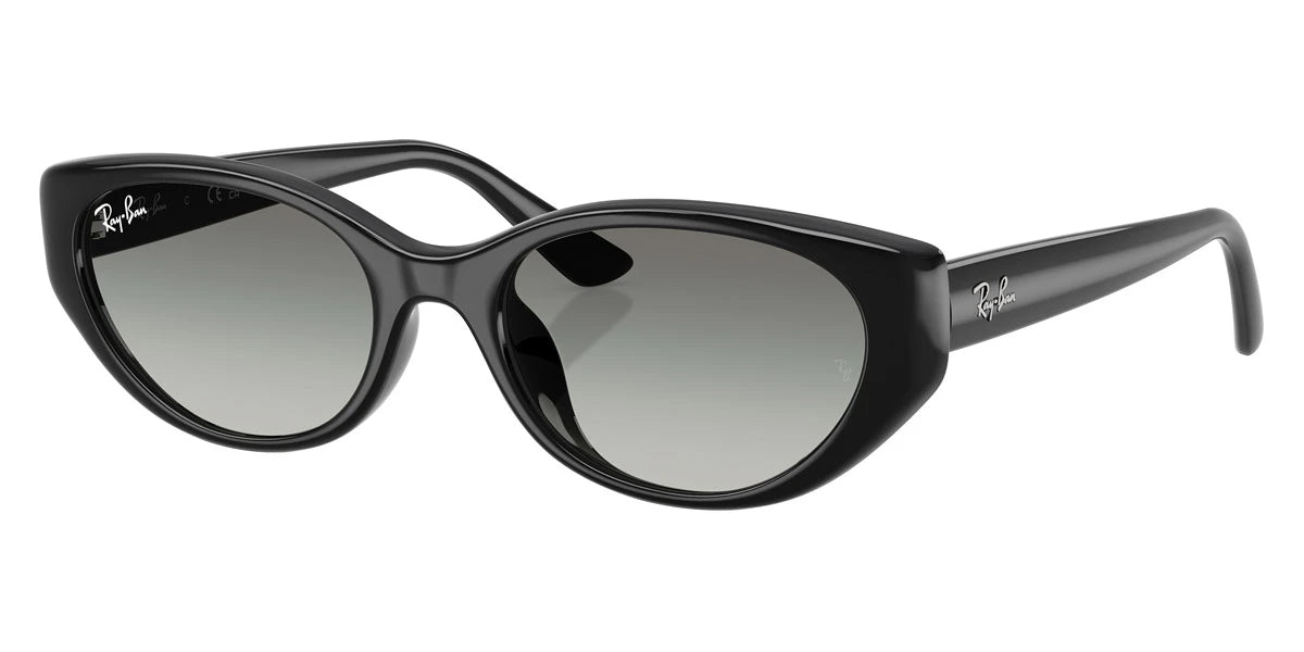 Ray-Ban - RB4457D