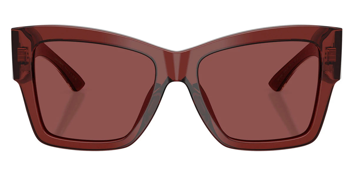 DOLCE & GABBANA - DG4493