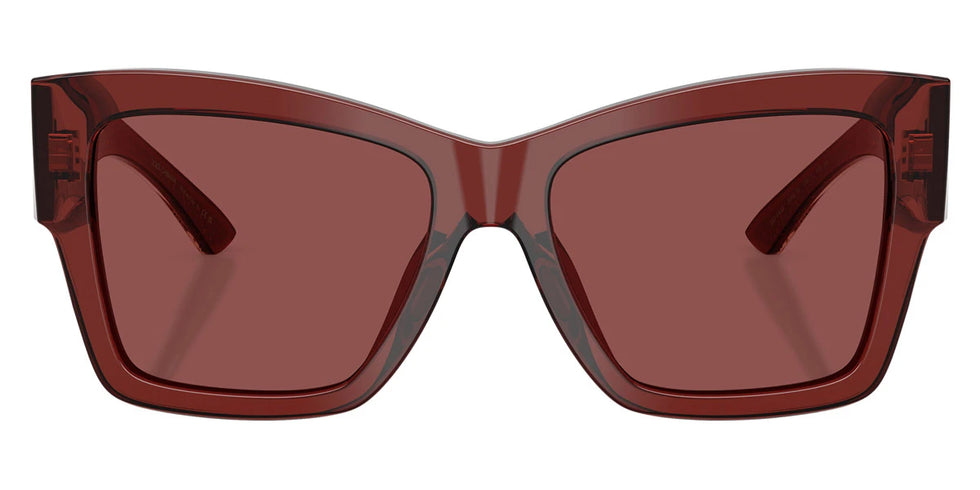 DOLCE & GABBANA - DG4493