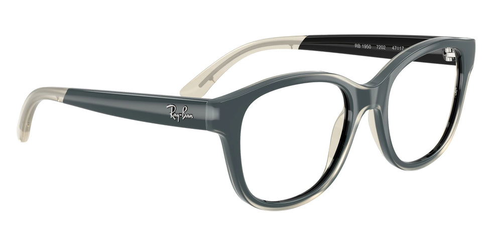 Ray-Ban RY1950 7202 46 - Black on Transparent