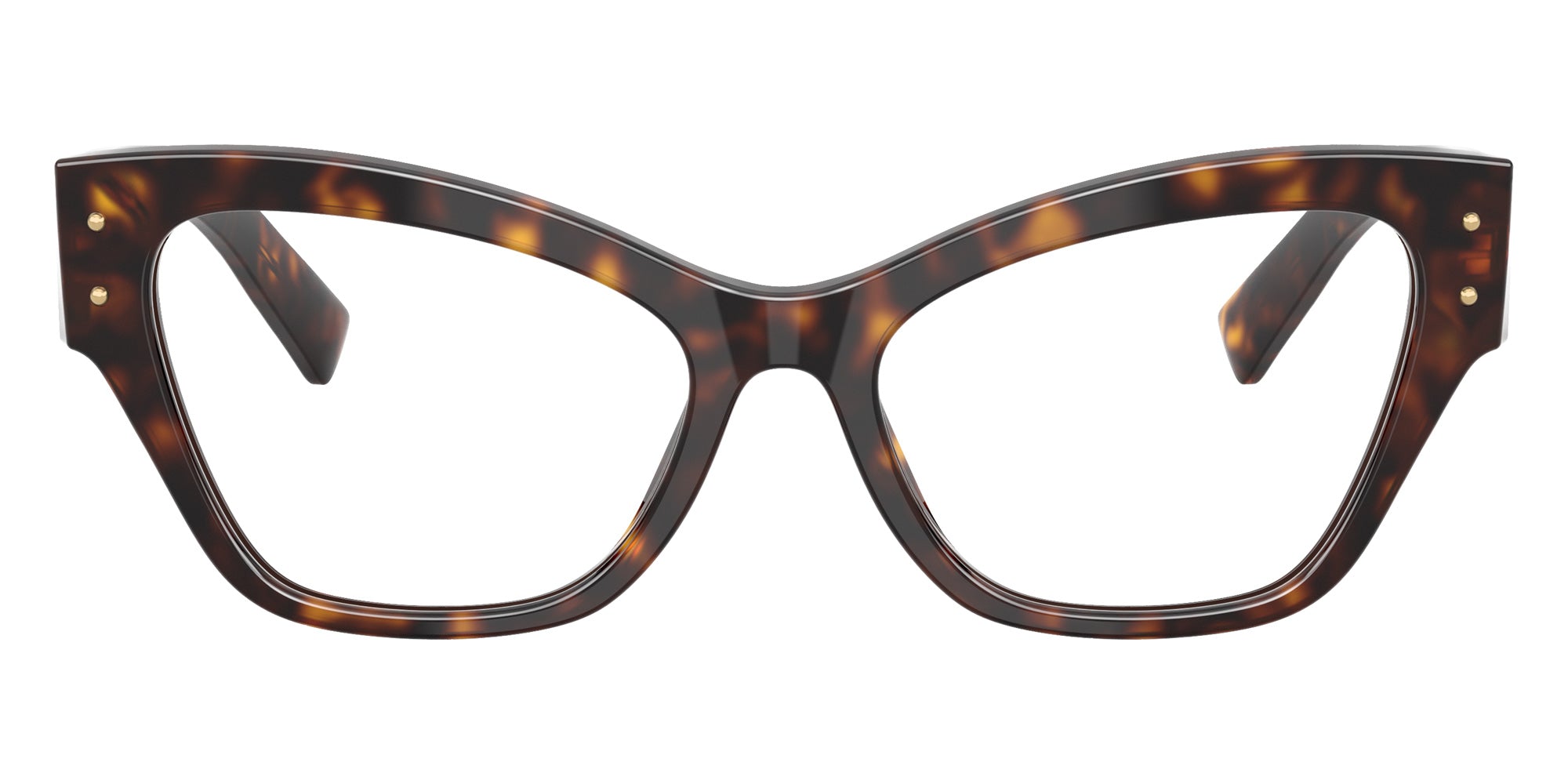 DOLCE & GABBANA DG3404 502 54 - Havana #id:dg3404502_s:100100