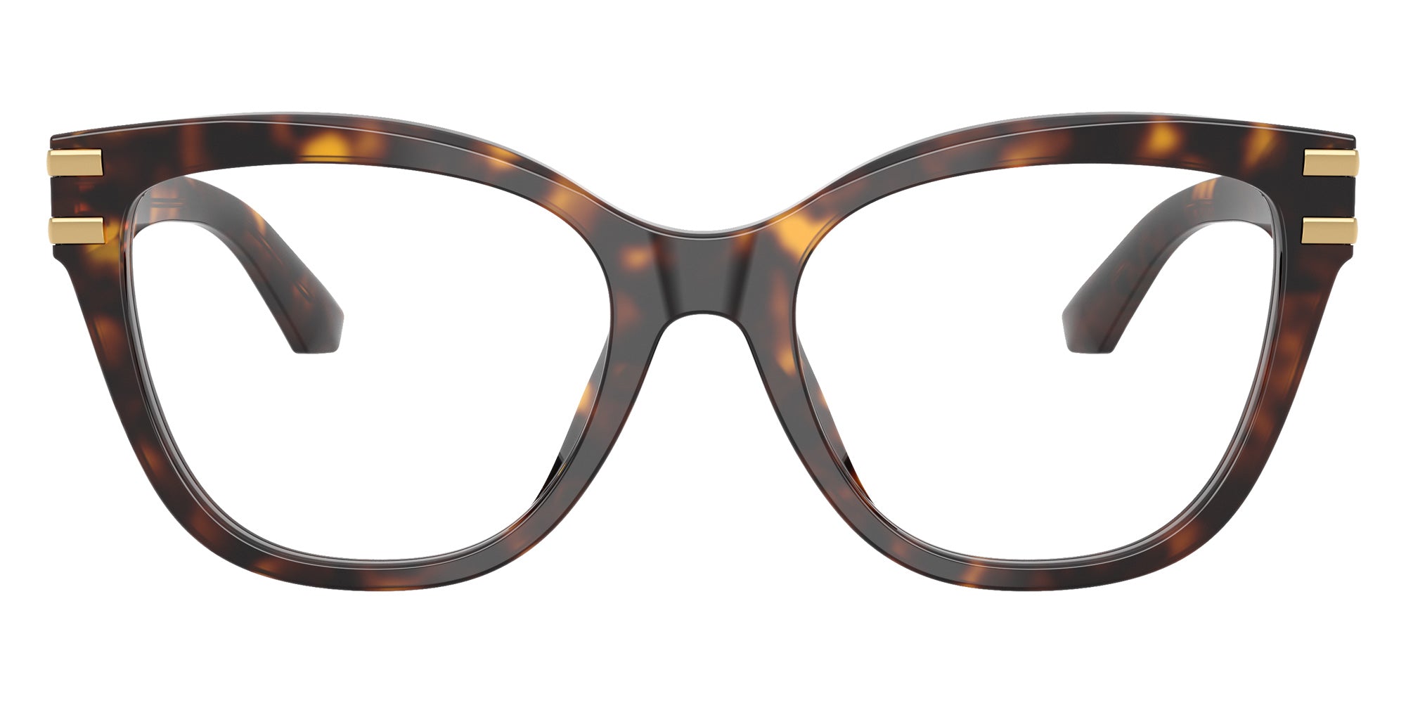 DOLCE & GABBANA DG3418 502 53 - Havana #id:dg3418502_s:102100