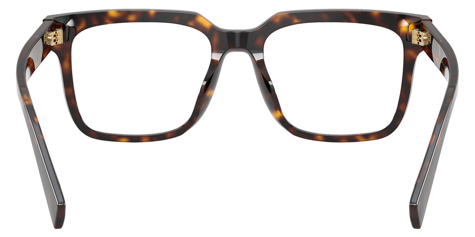 DOLCE & GABBANA DG3422 502 53 - Havana #id:dg3422502_s:102115