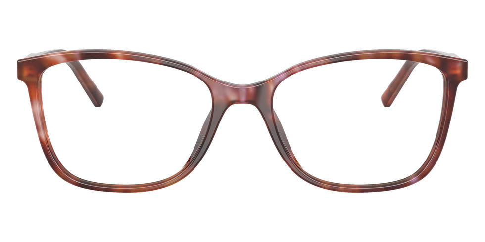 DOLCE & GABBANA DG3424 3444 54 - Havana Brown #id:dg34243444_s:102100