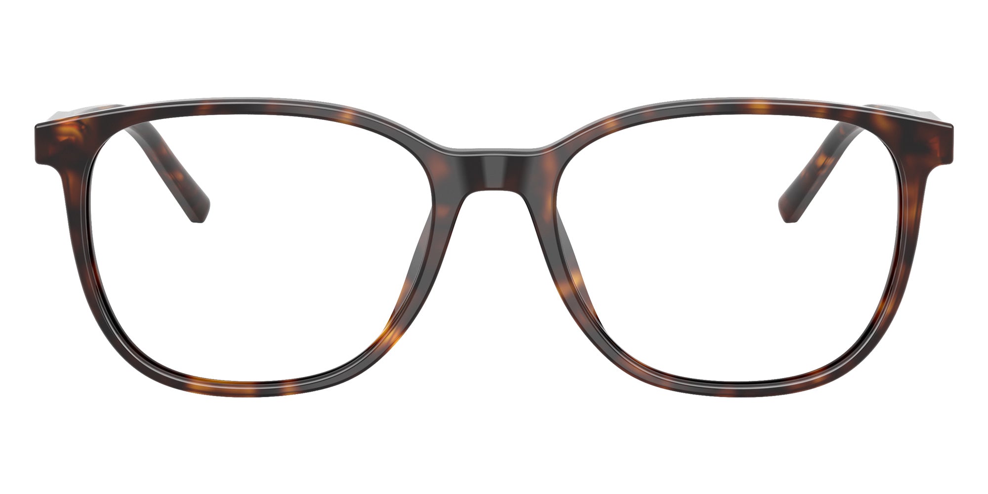 DOLCE & GABBANA DG3426 502 53 - Havana #id:dg3426502_s:104100