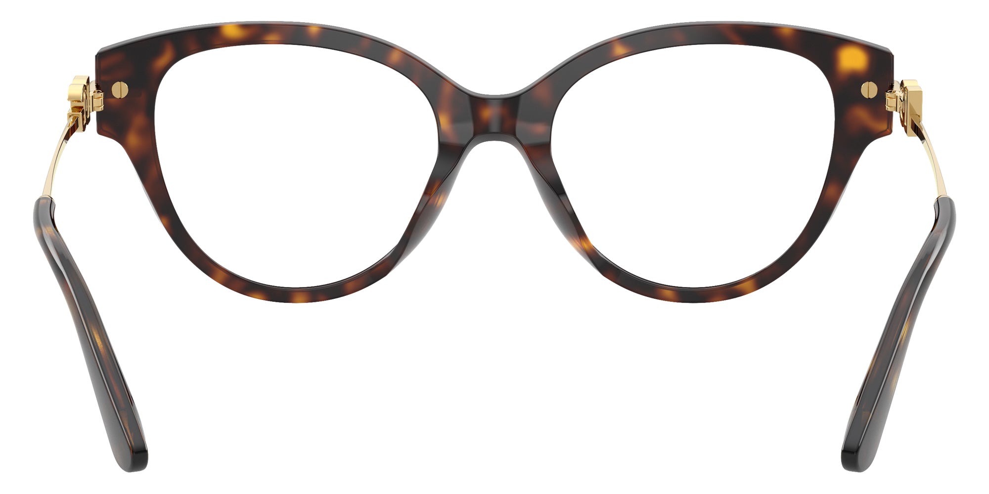 DOLCE&GABBANA DG3438 502 51 - Havana #id:dg3438502_s:116115