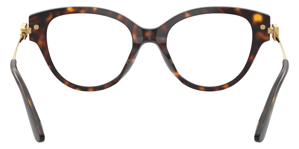 DOLCE&GABBANA DG3438 502 51 - Havana #id:dg3438502_s:116115