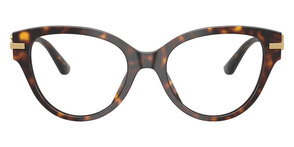 DOLCE&GABBANA DG3438 502 51 - Havana #id:dg3438502_s:116120