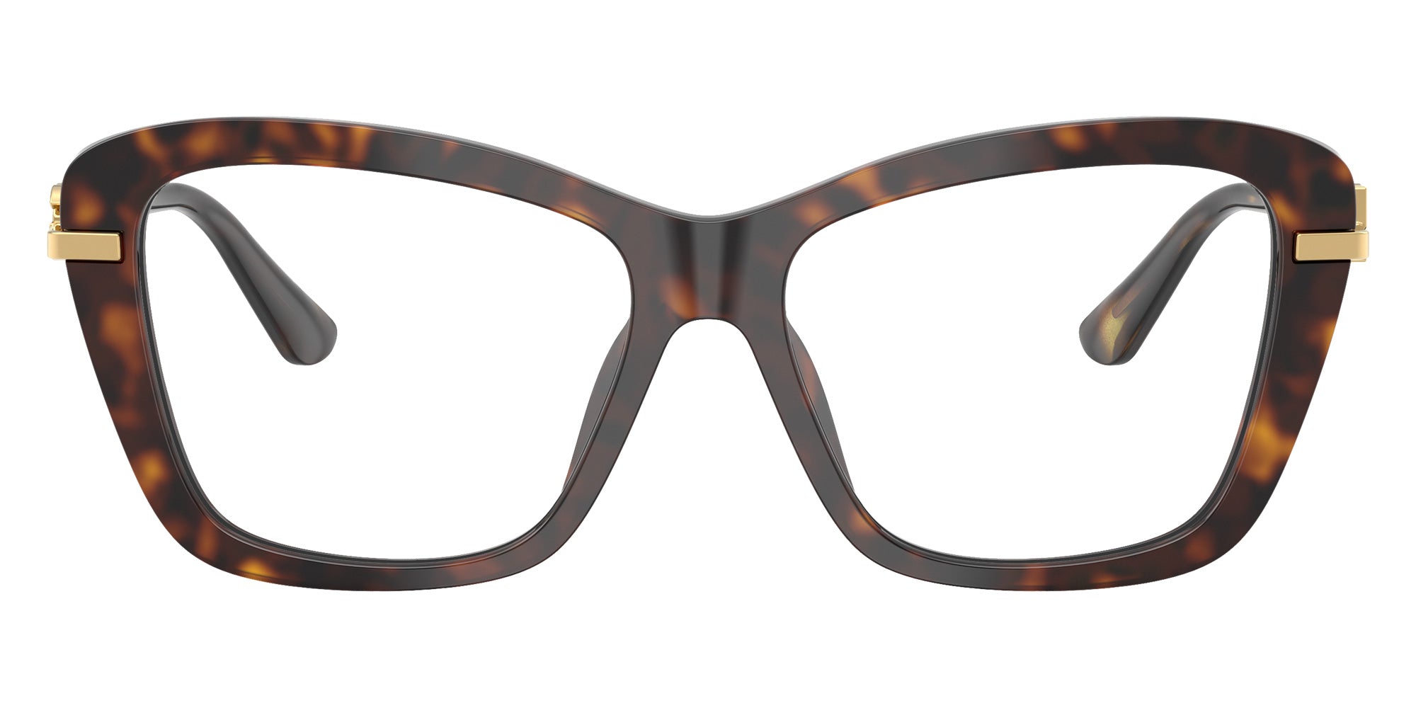 DOLCE&GABBANA DG3439 502 53 - Havana #id:dg3439502_s:116120