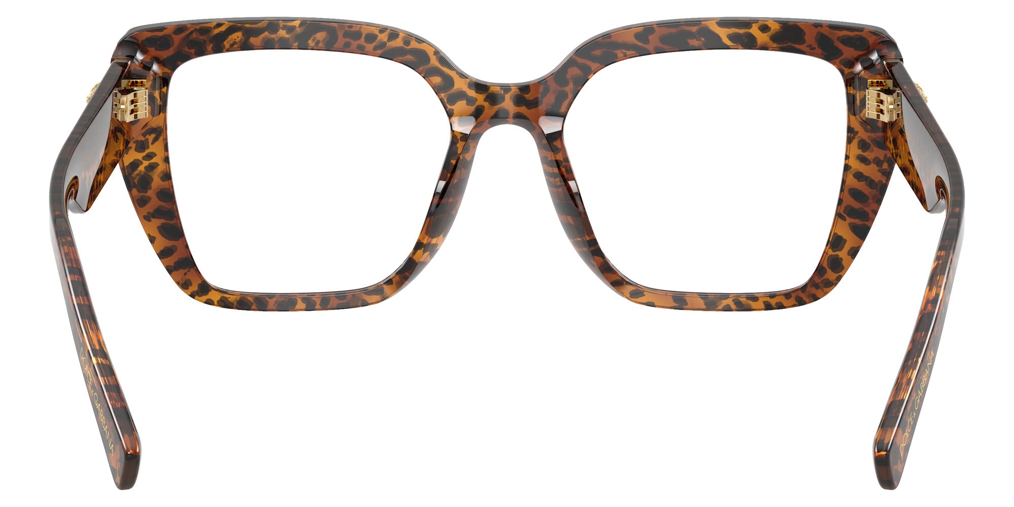 DOLCE&GABBANA DG3441 3470 51 - Leo Transparent #id:dg34413470_s:104115