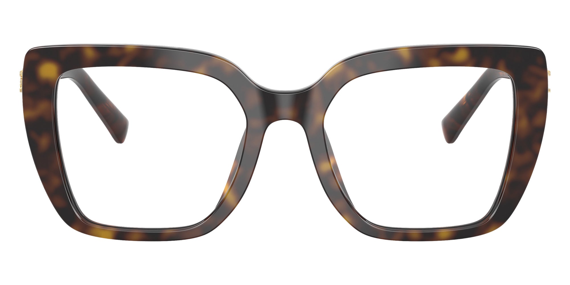 DOLCE&GABBANA DG3441 502 51 - Havana #id:dg3441502_s:116120