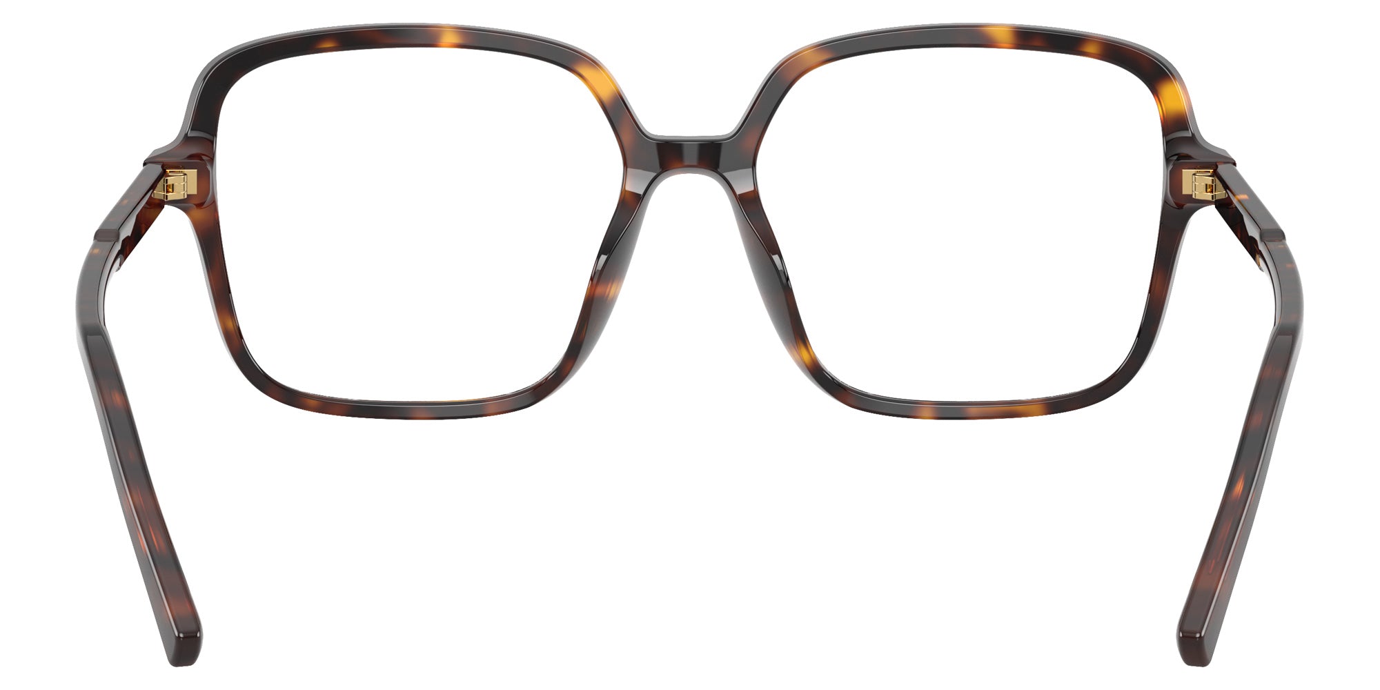 DOLCE&GABBANA DG3442 502 53 - Havana #id:dg3442502_s:112115