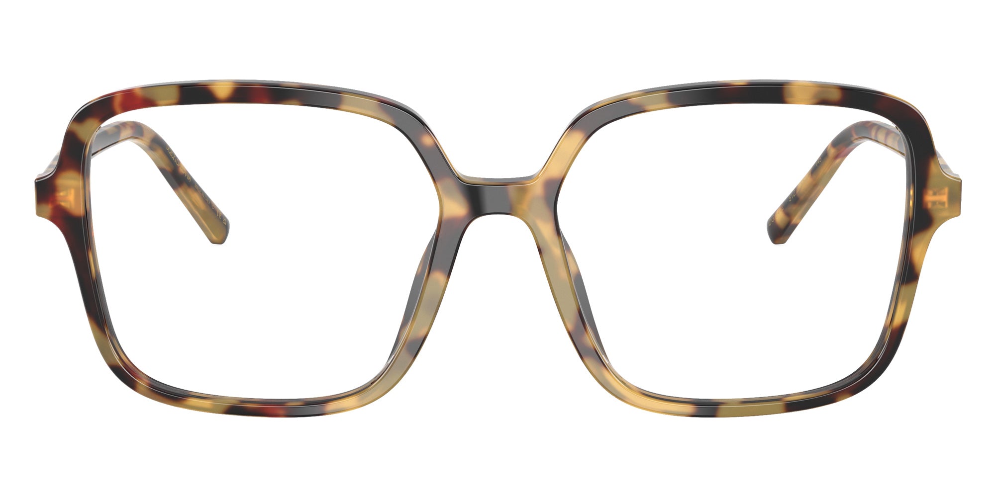 DOLCE&GABBANA DG3442 512 53 - Yellow Havana #id:dg3442512_s:116120