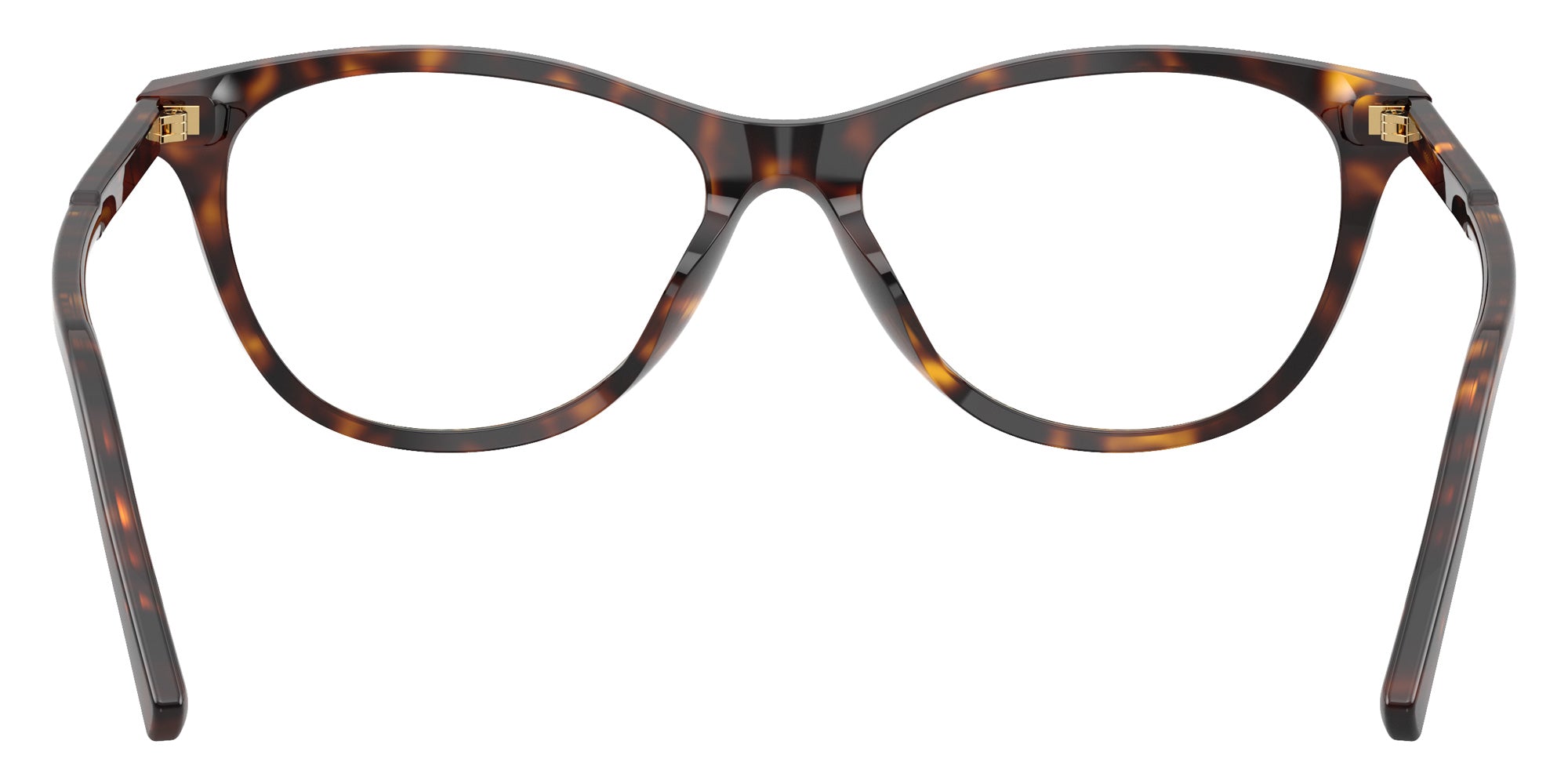 DOLCE&GABBANA DG3443 502 53 - Havana #id:dg3443502_s:116115