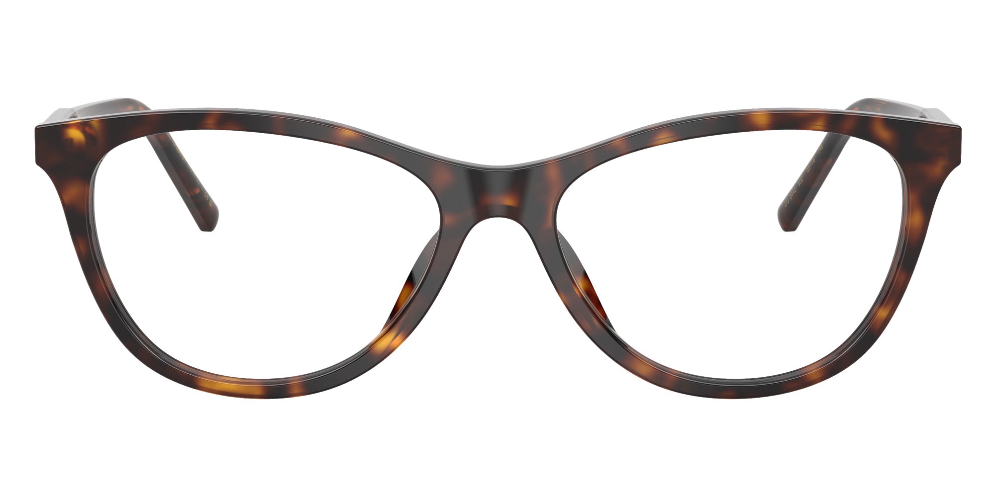 DOLCE&GABBANA DG3443 502 53 - Havana #id:dg3443502_s:116120