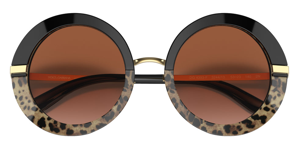 DOLCE & GABBANA DG4393F 324413 52 - Black/Leo Print / Brown Gradient #id:dg4393f324413_s:100120