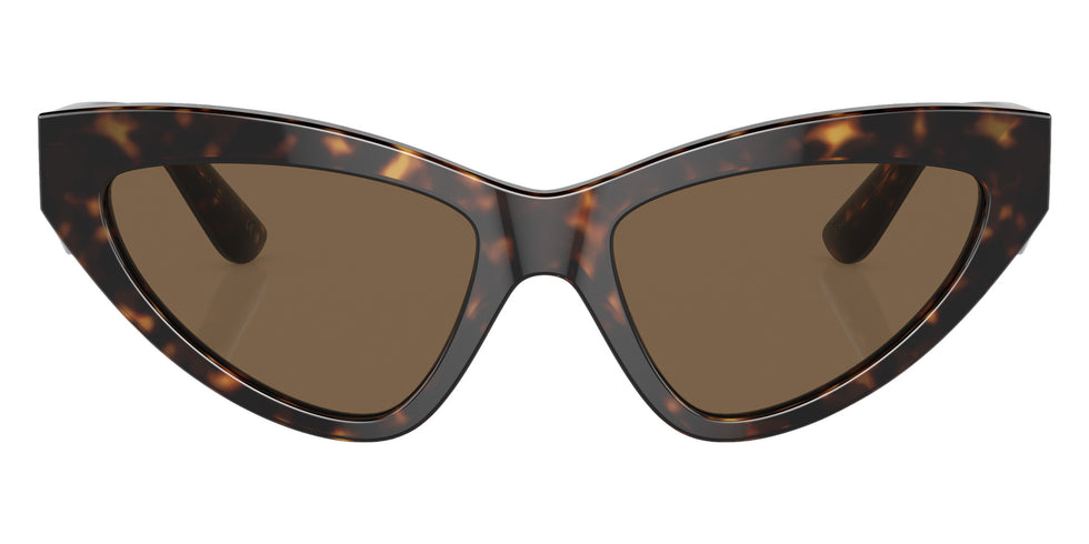 DOLCE & GABBANA DG4439 502/73 55 - Havana / Dark Brown #id:dg443950273_s:104100