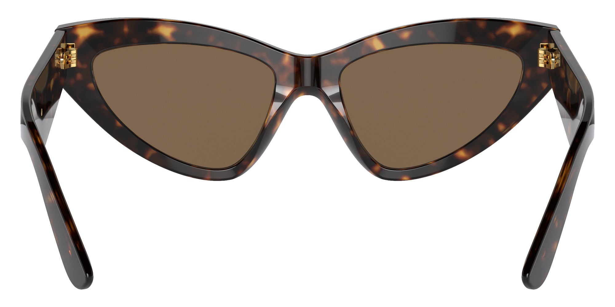 DOLCE & GABBANA DG4439 502/73 55 - Havana / Dark Brown #id:dg443950273_s:104115