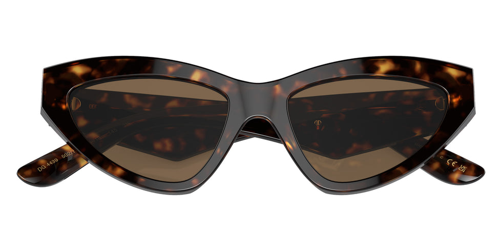 DOLCE & GABBANA DG4439 502/73 55 - Havana / Dark Brown #id:dg443950273_s:104120