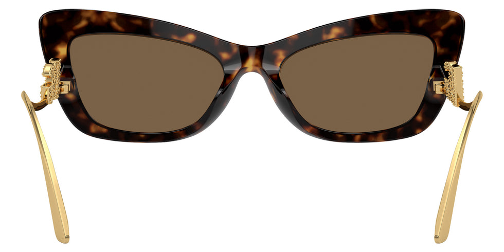 DOLCE & GABBANA DG4467B 502/73 55 - Havana / Dark Brown #id:dg4467b50273_s:102115