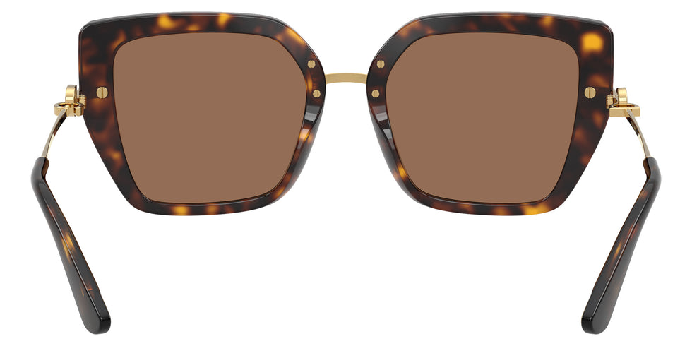DOLCE & GABBANA DG4474F 502/73 53 - Havana / Dark Brown #id:dg4474f50273_s:102115
