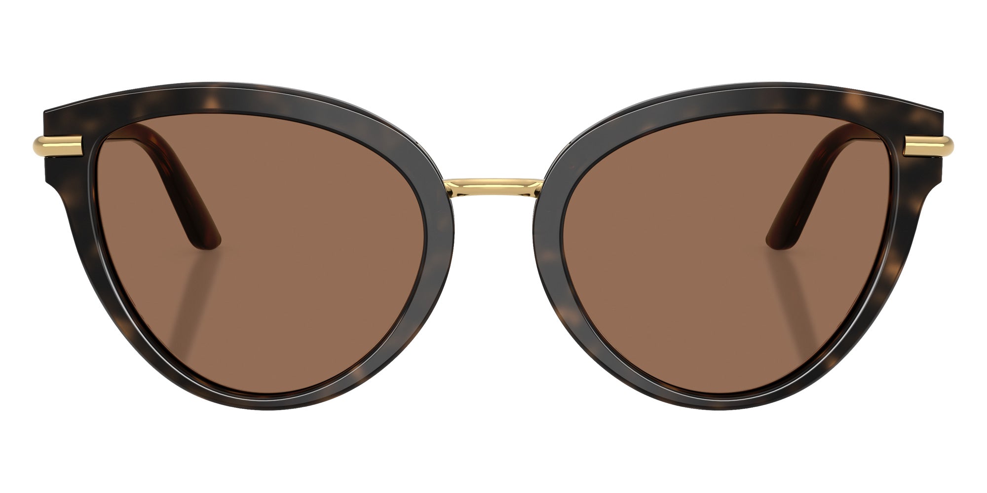 DOLCE & GABBANA DG4492 321713 55 - Havana on White Barrow / Dark Brown #id:dg4492321713_s:100100