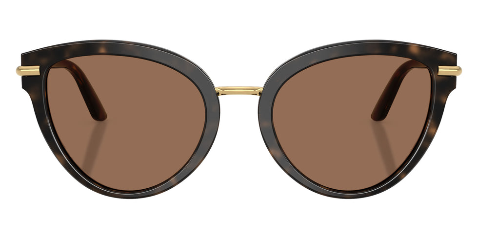 DOLCE & GABBANA DG4492 321713 55 - Havana on White Barrow / Dark Brown #id:dg4492321713_s:100100